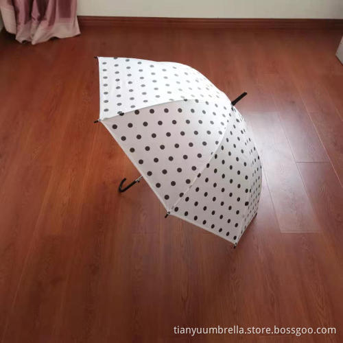 EVA Frosted Automatic Polka-Dot Umbrella